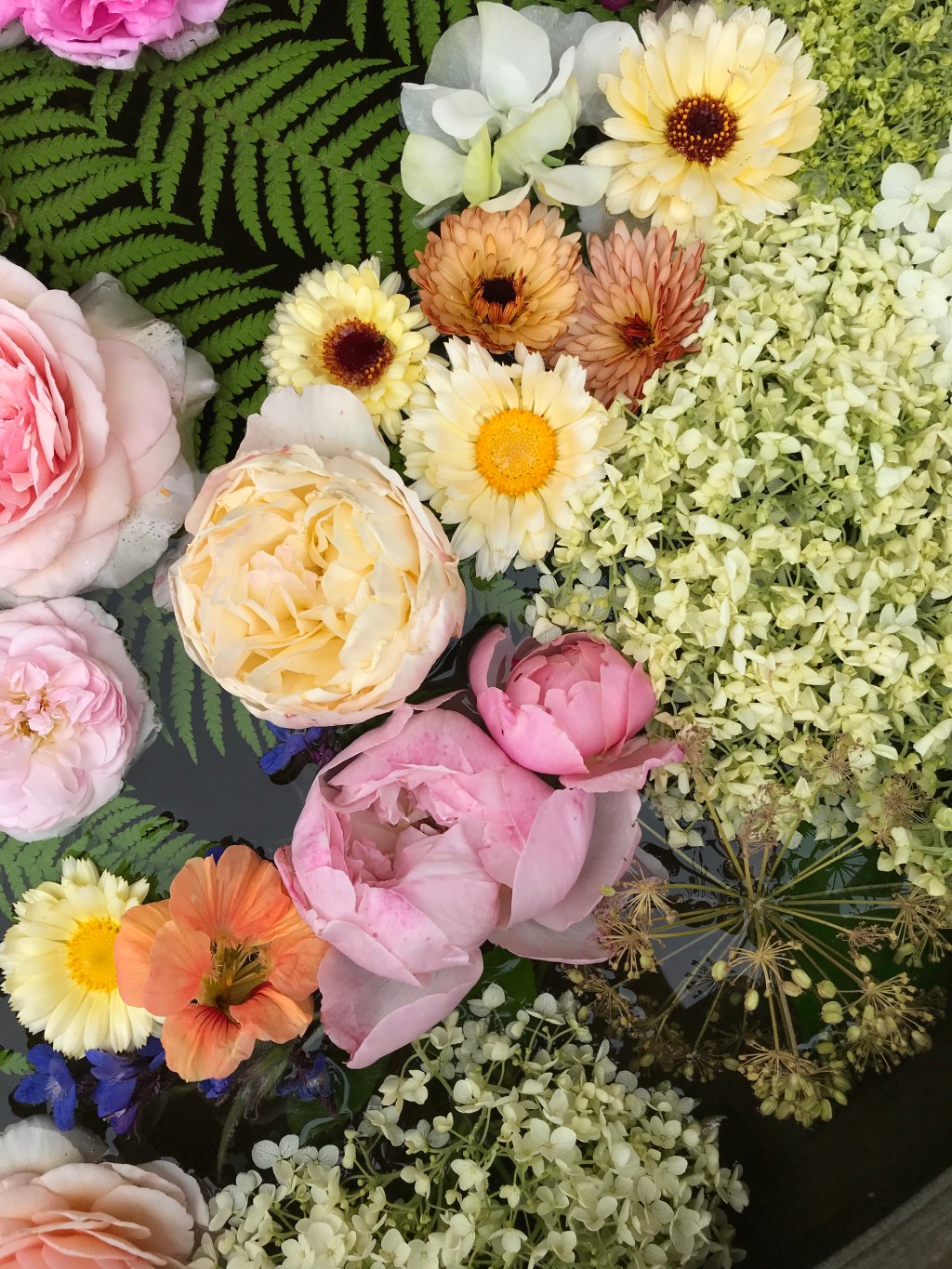 Superficial & Deranged