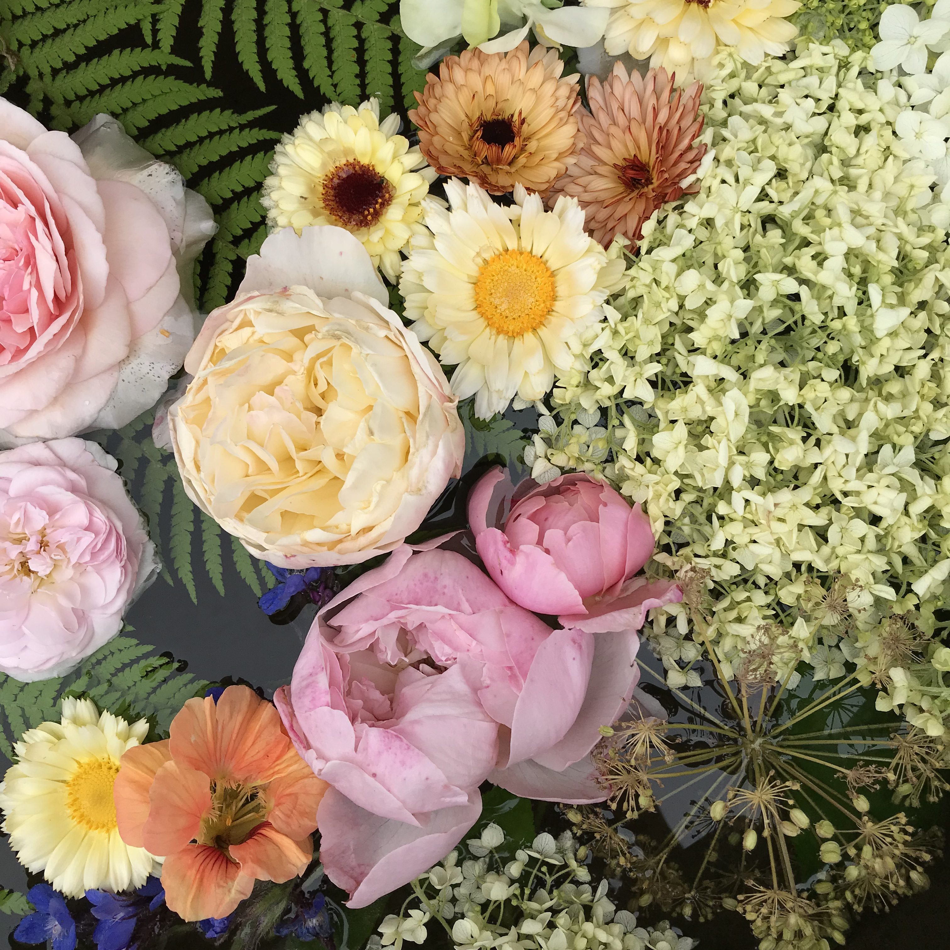 Superficial & Deranged